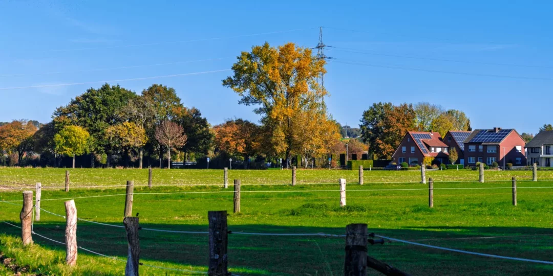 Champ verdoyant avec des maisons et des arbres en arrière-plan — bornage terrain