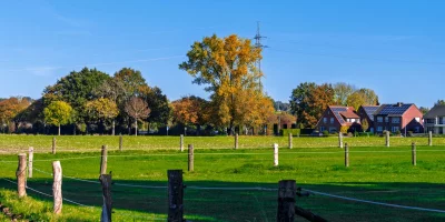 Champ verdoyant avec des maisons et des arbres en arrière-plan — bornage terrain