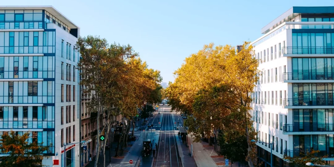 Vue d'une rue bordée d'arbres et de bâtiments modernes — cession bail commercial