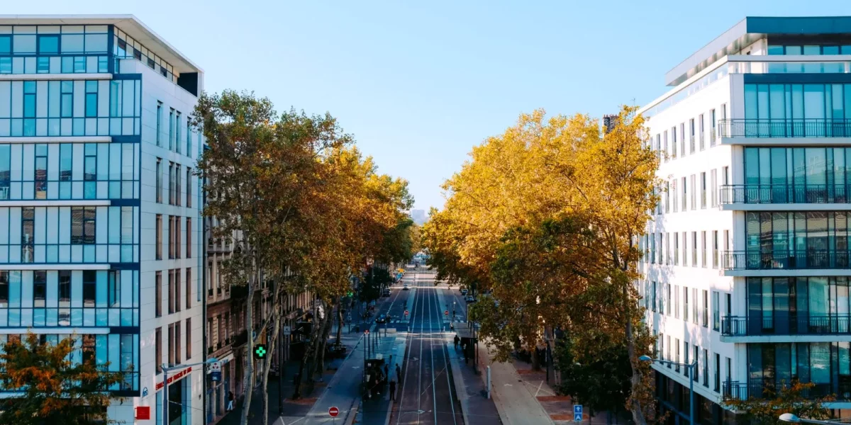 Vue d'une rue bordée d'arbres et de bâtiments modernes — cession bail commercial