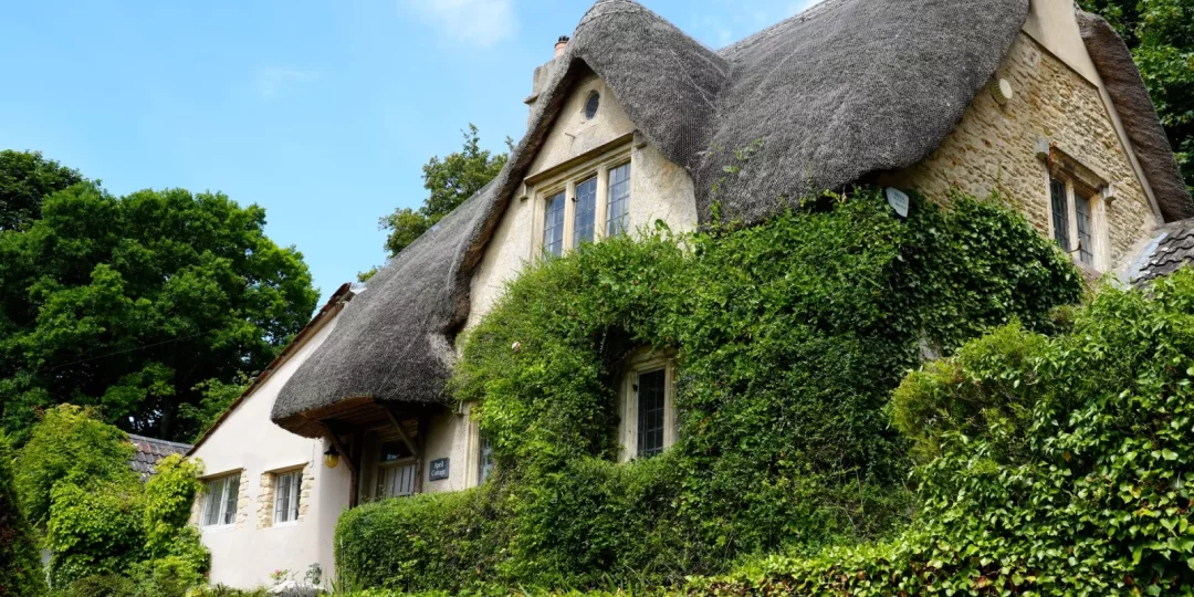 Maison à toit de chaume entourée de verdure — chaumière