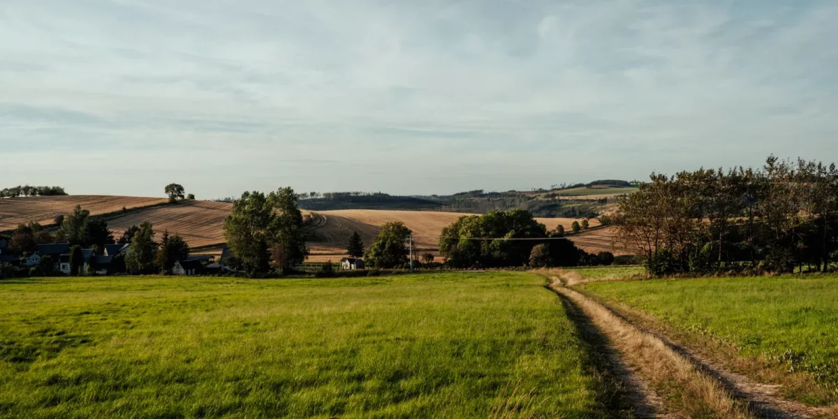 Chemin rural : propriété, entretien, clôture et vente (2026) — chemin rural