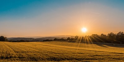 Compromis de vente terrain — terrain à bâtir borné prêt à être cédé