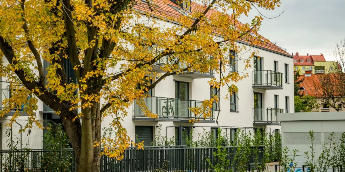 Immeuble moderne avec balcons et arbre aux feuilles jaunes — logement