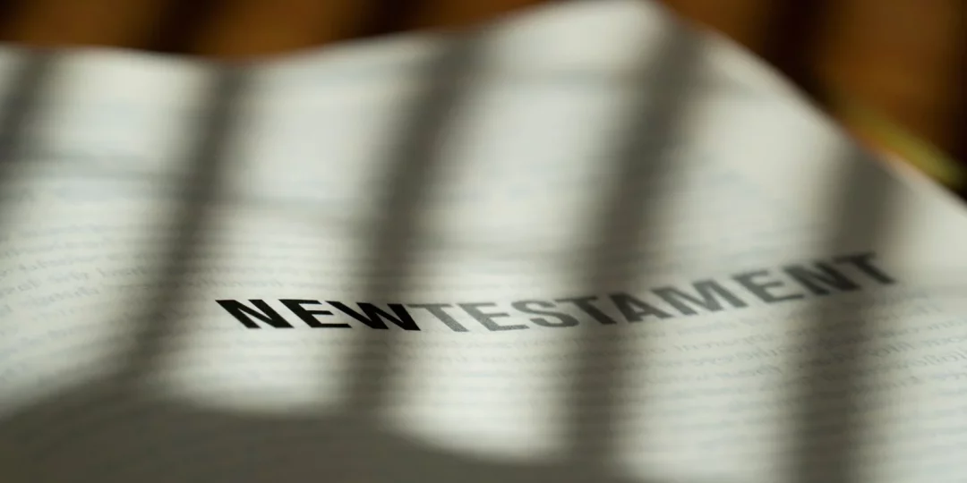 Testament olographe : validité, modèle et dépôt 2026 — testament olographe