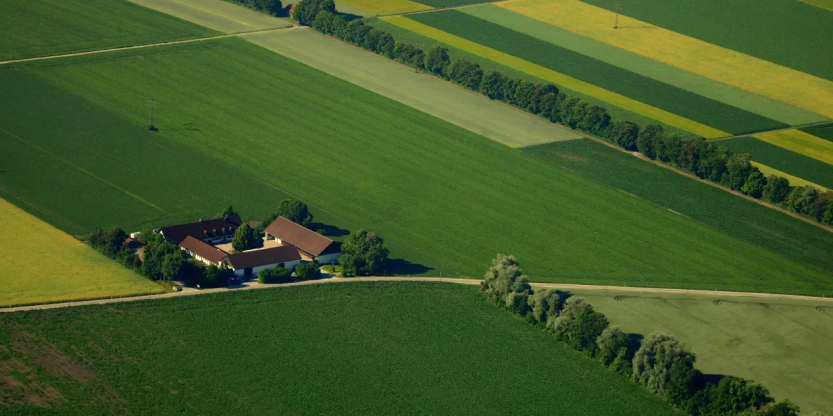 Vendre un terrain agricole : SAFER, prix, fermier en place (2026) — vendre un terrain agricole