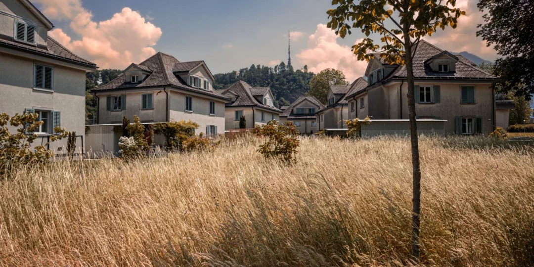 Zone de chalandise : définition, calcul et usage immobilier — zone de chalandise